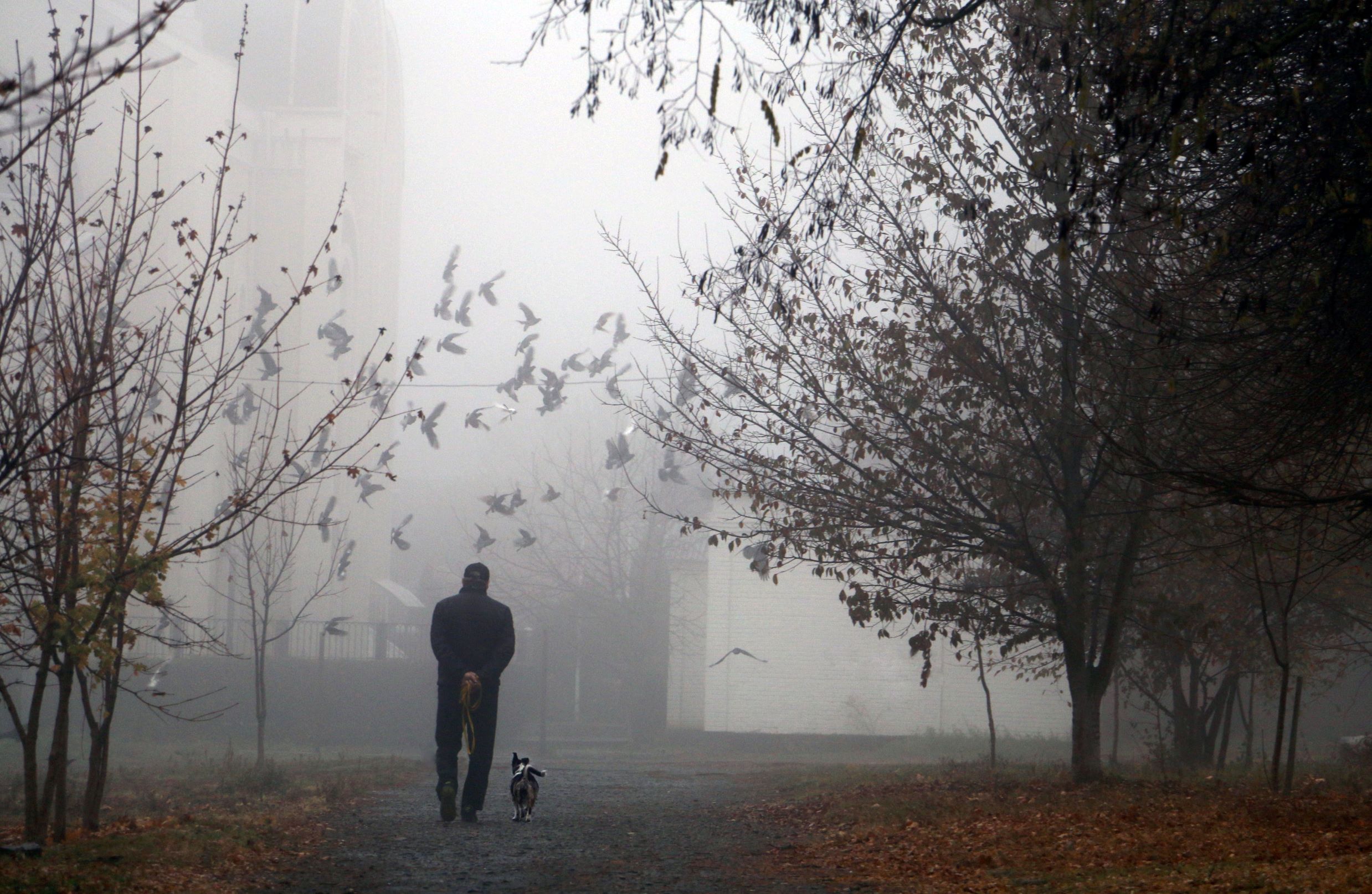 Η πηγή της ειρήνης