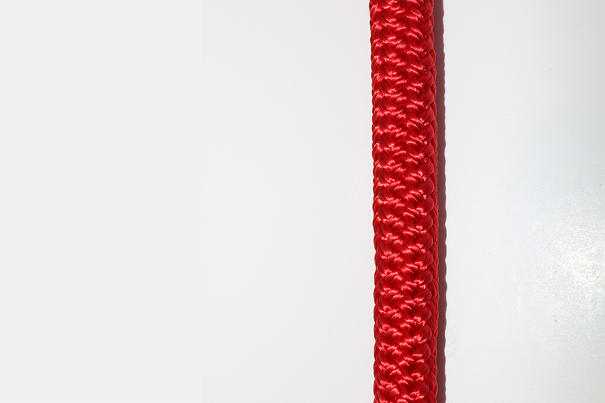 "Αταίριαστοι" κρίκοι σε μια γενεαλογία: Ραάβ η πόρνη